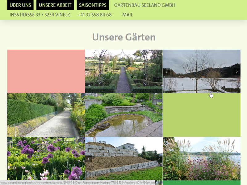 gartenbau seeland GmbH Websitebild